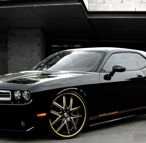 Profile Picture of Brian Carter (@muscleman8391) on Poshmark