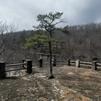 Profile Picture of Brian Boden (@brian.boden.925) on Facebook