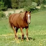 Profile Picture of sarah Monge (@monge306) on Instagram