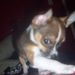 Profile Picture of Sandy Parrott (@sparrott) on Pinterest