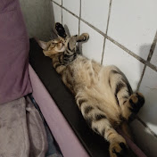 BUBLIK ZABIVNOY - Youtube Profile Picture of BUBLIK ZABIVNOY (@BUBLIKZABIVNOY) on Youtube