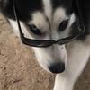 Profile Picture of Joshua Diaz (@@joshuarax) on Tiktok