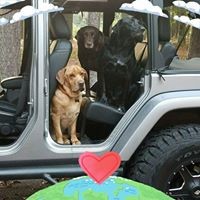 Profile Picture of Nichola Pease (@nichola-pease) on Quora