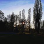 Profile Picture of Amber (@clumsymonx3) on Instagram