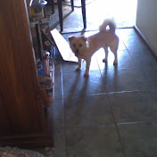 Profile Picture of Jacob Allan (@jacoballan1714) on Youtube