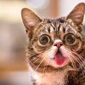 Profile Picture of Isabel Palma (@isabelpalma22) on Twitter