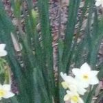 Profile Picture of Paula Peoples Miller (@paulamiller6492) on Instagram