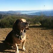 Jason Whited - Youtube Profile Picture of Jason Whited (@mnmcneely) on Youtube