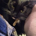 Profile Picture of Rex Reynolds (@lordrexington) on Instagram