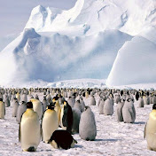 Profile Picture of Saima Shabbir (@saimashabbir3868) on Youtube