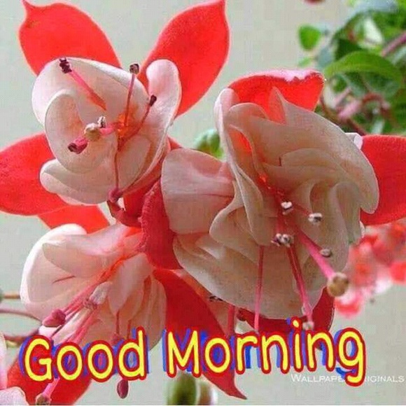 Rajni Kaushal - Poshmark Profile Picture of Rajni Kaushal (@sanviadi) on Poshmark