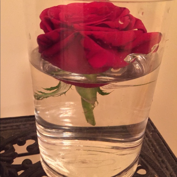 Profile Picture of Luz Alvarado (@lu125) on Poshmark