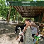 Profile Picture of Kristina Arnold (@phoenix13_kk) on Instagram