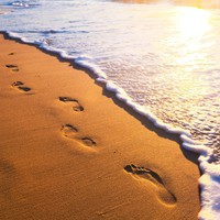 Profile Picture of Simone Schouten (@simone-schouten) on Quora