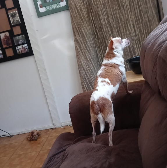 Ellen Knight - Poshmark Profile Picture of Ellen Knight (@idamjones35) on Poshmark