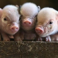 Yumi Mizobuchi - Quora Profile Picture of Yumi Mizobuchi (@yumi-mizobuchi) on Quora