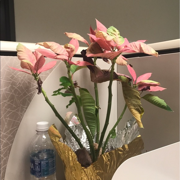 Profile Picture of Retha Gaines (@rethas02) on Poshmark