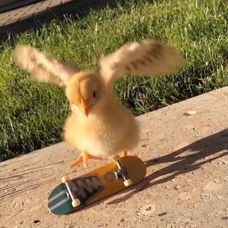 Profile Picture of luke (@luke.johnson) on Instagram