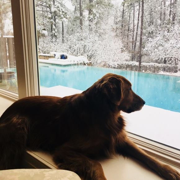 Profile Picture of Ofelia Melley (@drom80) on Poshmark