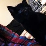 Profile Picture of Savannah Harper (@s_harper2016) on Instagram