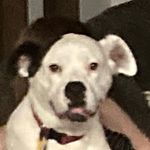 Profile Picture of George Dolan (@georgedolan9) on Instagram