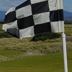 Profile Picture of Robin Taylor (@dr_robin_taylor) on Twitter