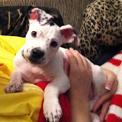 Profile Picture of Robin Brockett (@simplybinna1) on Youtube