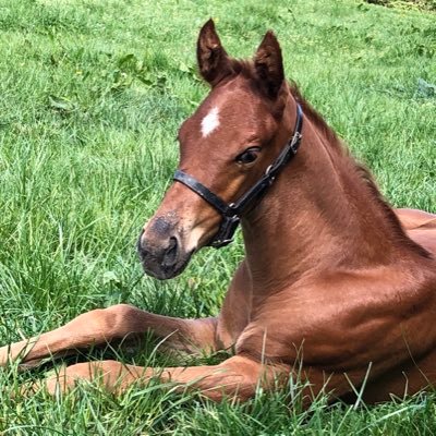 Profile Picture of Kelly Thomas (@maywoodstud) on Twitter