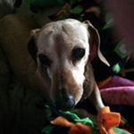 Profile Picture of Debbie Christolear Abbe (@debbieabbe1) on Instagram