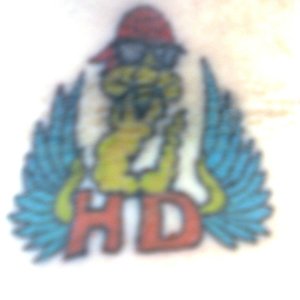 Profile Picture of Debbie  A Swindle (@badgirl4u) on Myspace