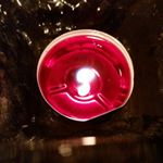 Profile Picture of whitneydunham (@whitneyjdunham) on Instagram