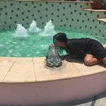 Profile Picture of Nicki Sola Pace (@nickisolapace) on Instagram