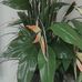 Profile Picture of Lucille Laflamme (@lucille.laflamme.792) on Facebook
