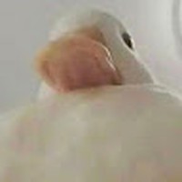 Profile Picture of Robin Borg (@robin-borg-3) on Quora