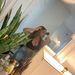 Profile Picture of Alexandra Olivier (@amolivier97) on Pinterest