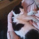 Profile Picture of Isaac Dudley (@isaacdudley_) on Instagram