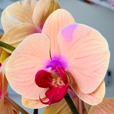 Profile Picture of Emond Marc (@EmondMarc1) on Twitter