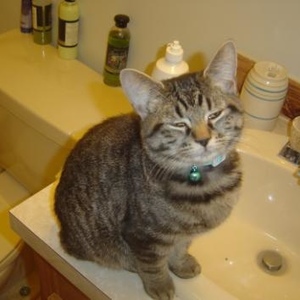 Profile Picture of Raja Smith (@rajapoo) on Myspace