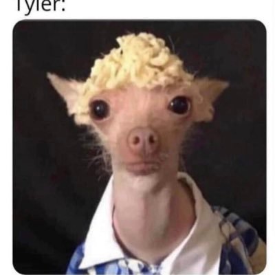 Profile Picture of Matthew Greenlee (@MatthewGreenl12) on Twitter