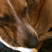 Profile Picture of Lucas Baxter (@lucasbaxter883) on Youtube