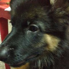 Profile Picture of Aaron Stumpfs (@aaronstumpfs) on Tiktok