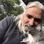 Profile Picture of Peter Laux (@petelaux) on Instagram
