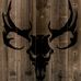 Profile Picture of Dylan Olson (@dylan.olson.587) on Facebook