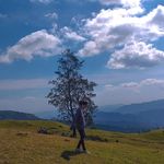 Profile Picture of 𝓙𝓸𝓵𝓵𝔂 𝓐. 𝓐𝓵𝓮𝔁𝓪𝓷𝓭𝓮𝓻 (@secretlifeof_alexander) on Instagram