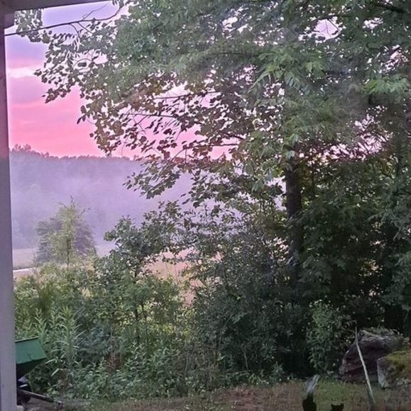 Profile Picture of Ellen Shanks (@ellenshanks) on Poshmark