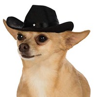 Profile Picture of Casey Petri (@casey-petri-1) on Quora