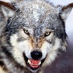 Profile Picture of Thomas Struck (@thst44) on Instagram