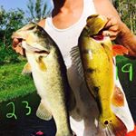 Profile Picture of Gary Schlechta (@schlechtagary) on Instagram