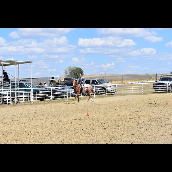 Profile Picture of Taylor Murnion (@murniontaylor) on Poshmark