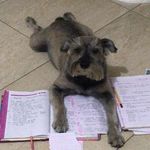 Profile Picture of Luz Elena Tabares David (@luzelenatabaresdavid) on Instagram